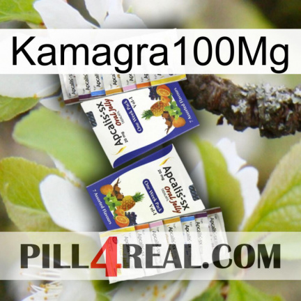 Kamagra100Mg 12